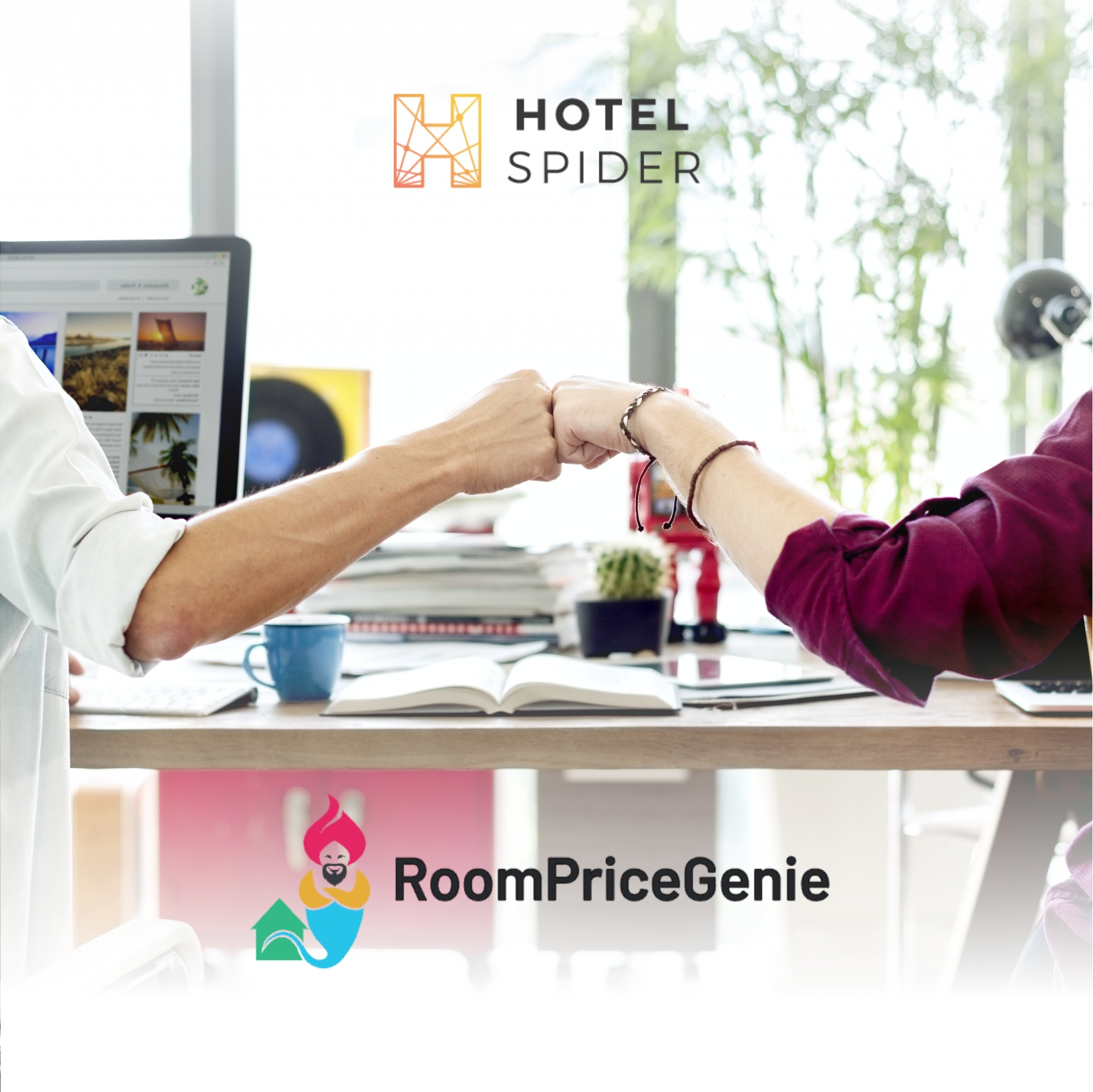 TN-Hotel-Spider-Room-Price-Genie.jpg