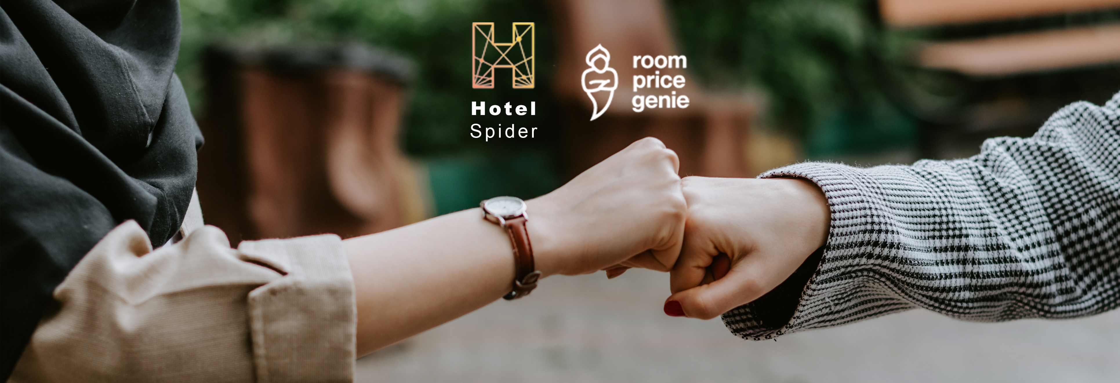 Hotel Spider Hotel Spider