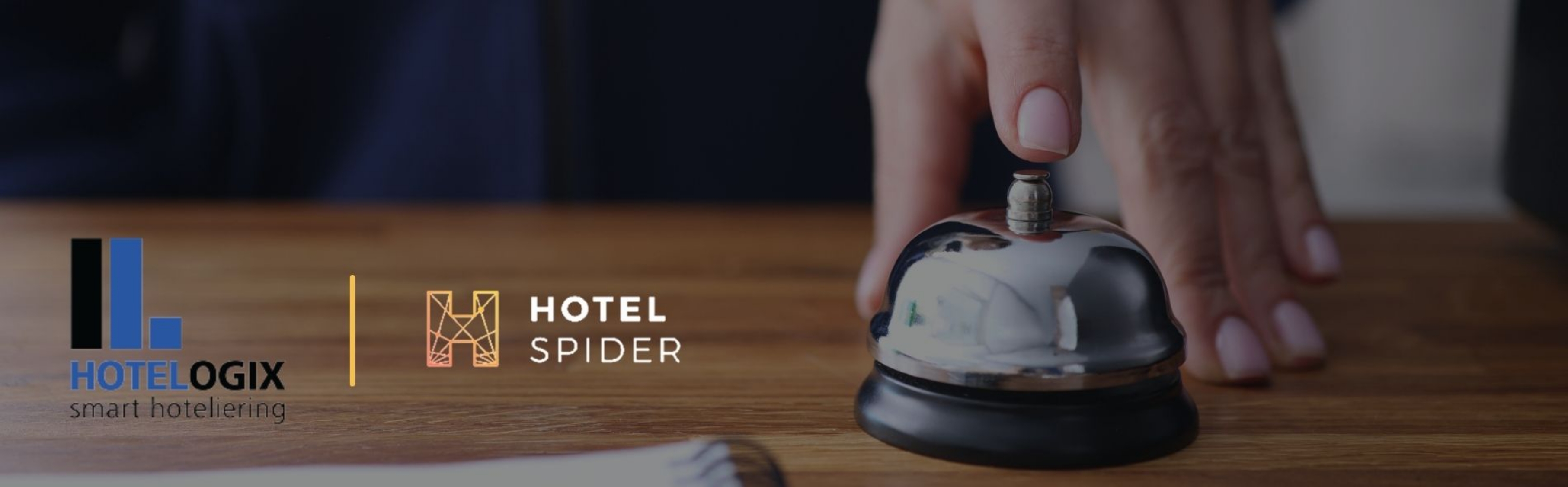 Hotel Spider